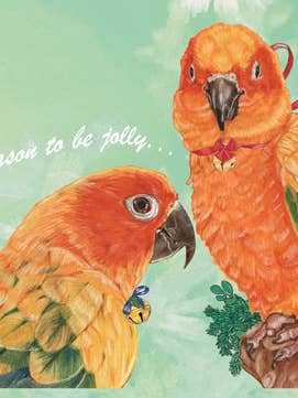 Parrot Sun Conure Christmas Cards Pack of 10 for wholesale by Pipsqueak Productions
