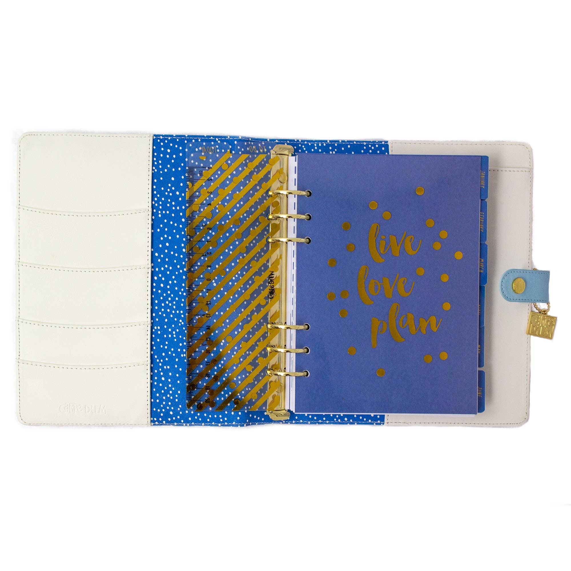 Pukka Pads North America - Wholesale Planner - Carpe Diem A5 Planner Box Set7