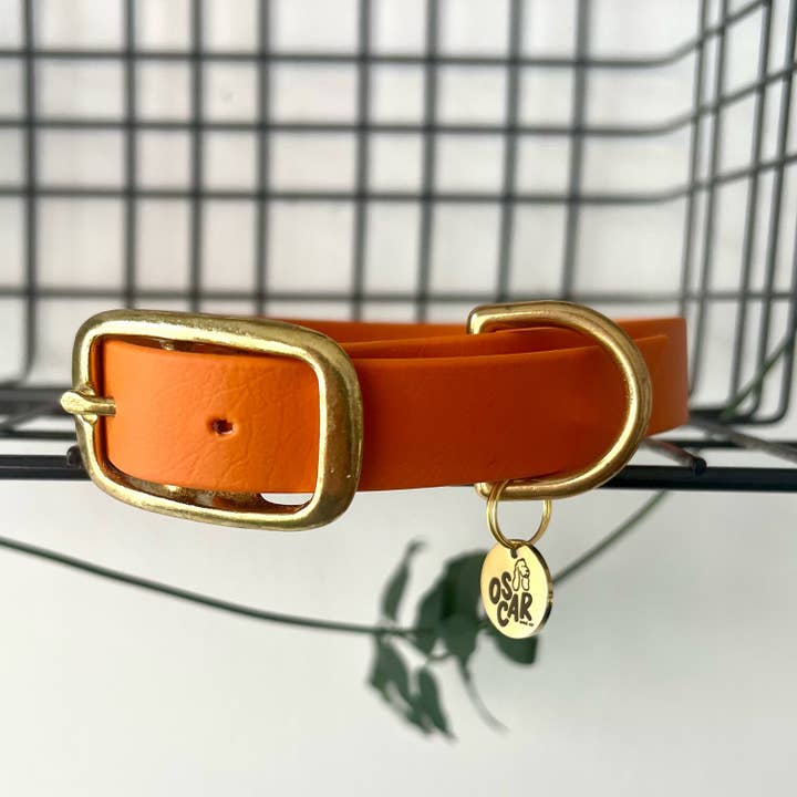 Oscar & co - Wholesale Pet Collar - Dog - Orange waterproof Biothane dog collar3