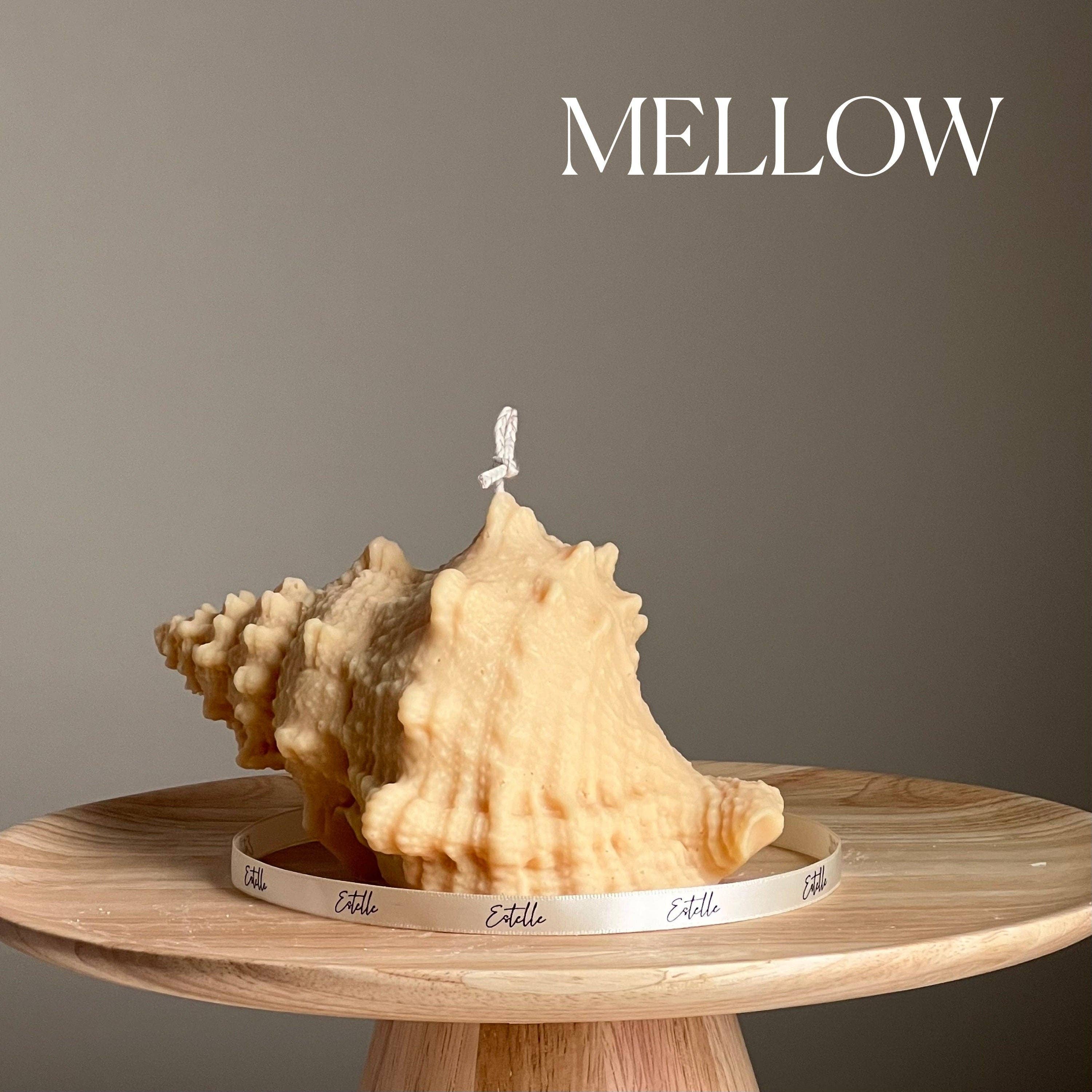 Estelle Studio - Wholesale Novelty Candle - Large Seashell Soy Wax Candle: Unique Home Decor2
