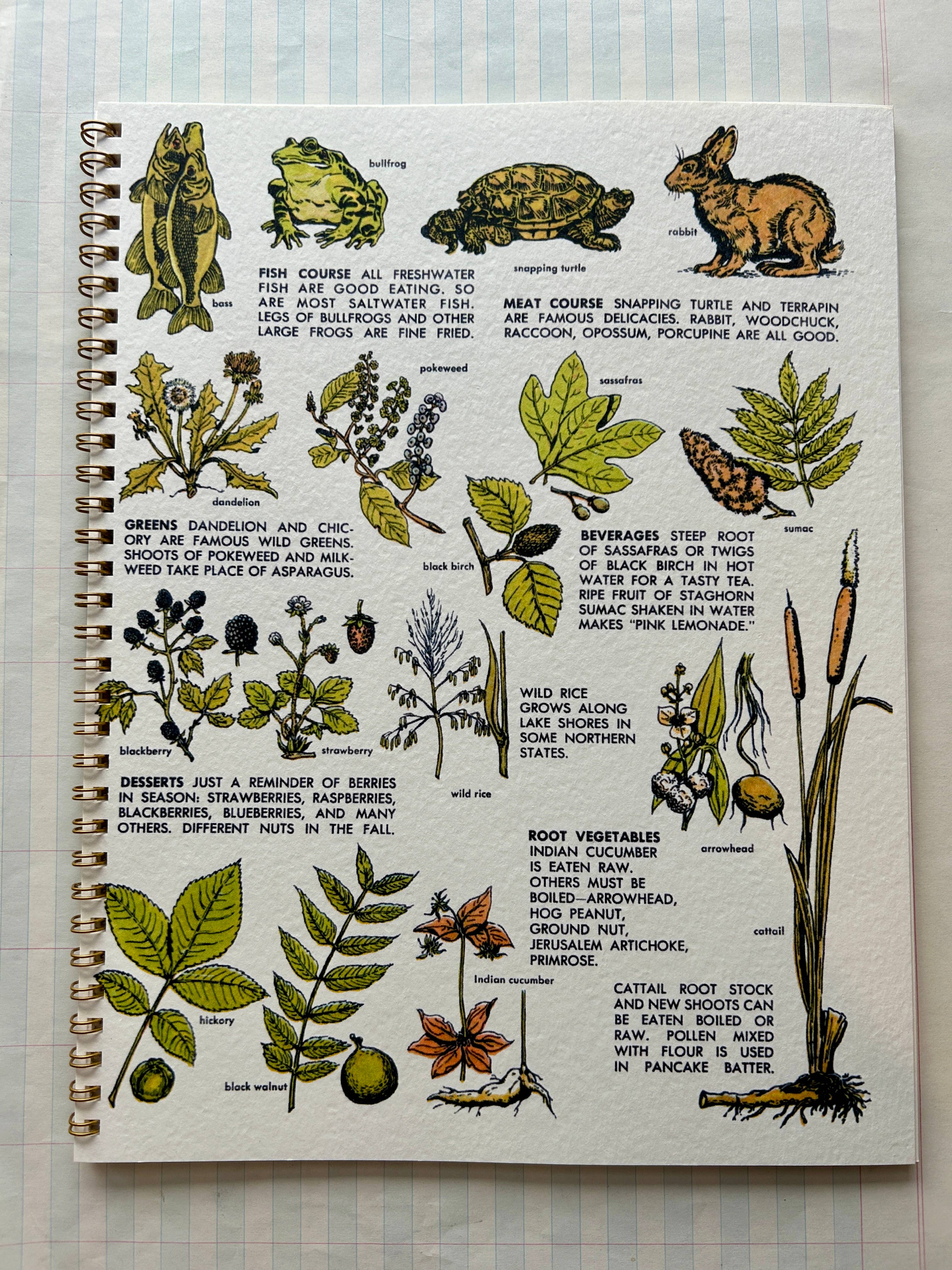 Parcel - Wholesale Notebook - Nature Guides Notebook 0