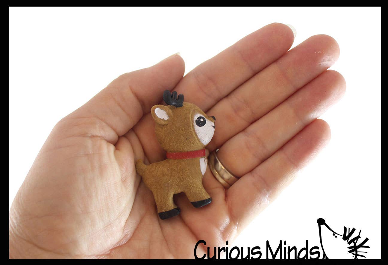 Curious Minds Toys - Vendita all'ingrosso Giocattolo fidget - Bambini - 1 Natale Fai crescere un personaggio nell'acqua - Aggiungi acqua e basta2