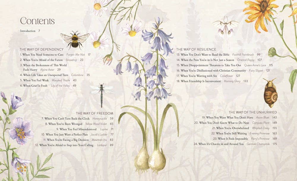 HarperCollins Christian Publishing - Wholesale Religion Book - The Way of the Wildflower : Gospel Meditations to Unburden Y2