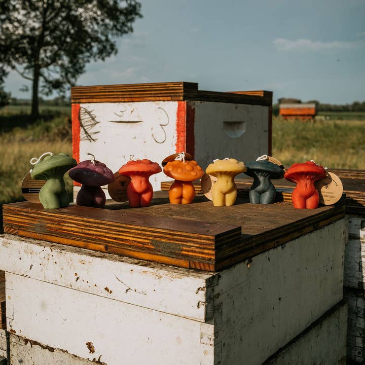 The Holton Homestead - Wholesale Novelty Candle - Mushroom Woman Beeswax Candle8