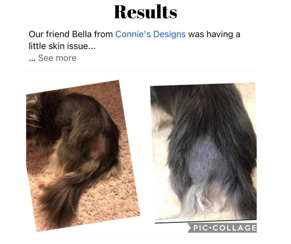 DecoExchange - Vente Shampoing – chien - Shampooing pour chien, shampooing entièrement naturel pour les peaux sensibles5