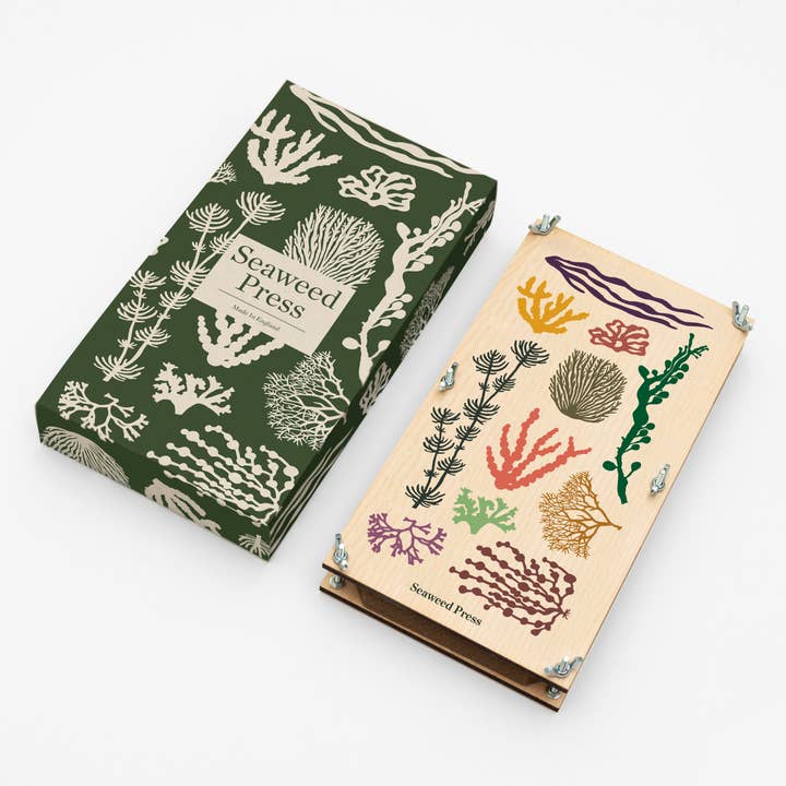 Studio Wald - UK Made – wholesale DIY craft kit – Large Seaweed Press2