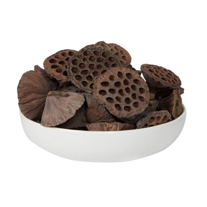 Naturel Vickerman Lotus Pod Ex-Large, 4 à 4,8 pouces, paquet de 50 en vente sur Faire