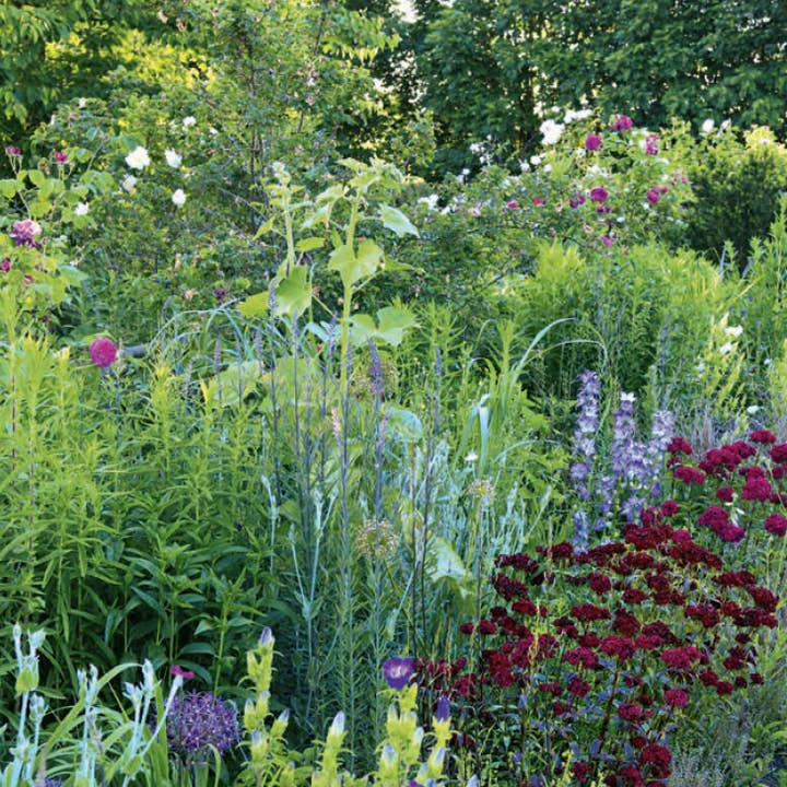 Callwey GmbH - Wholesale Home & Garden - Perennials in the Garden. Design Ideas for Ever-Blooming Beds1