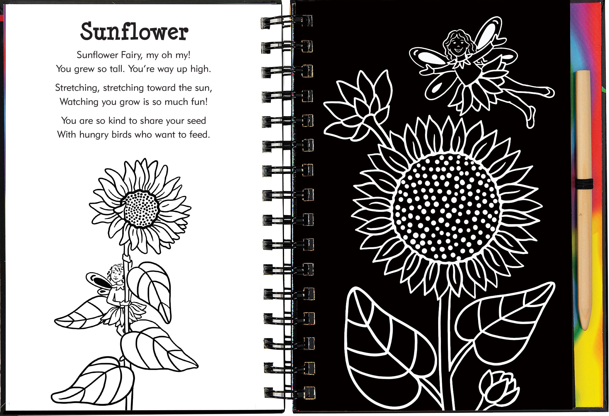 Peter Pauper Press - Wholesale Sketchbook/Sketchpad - Garden Fairies Scratch and Sketch4