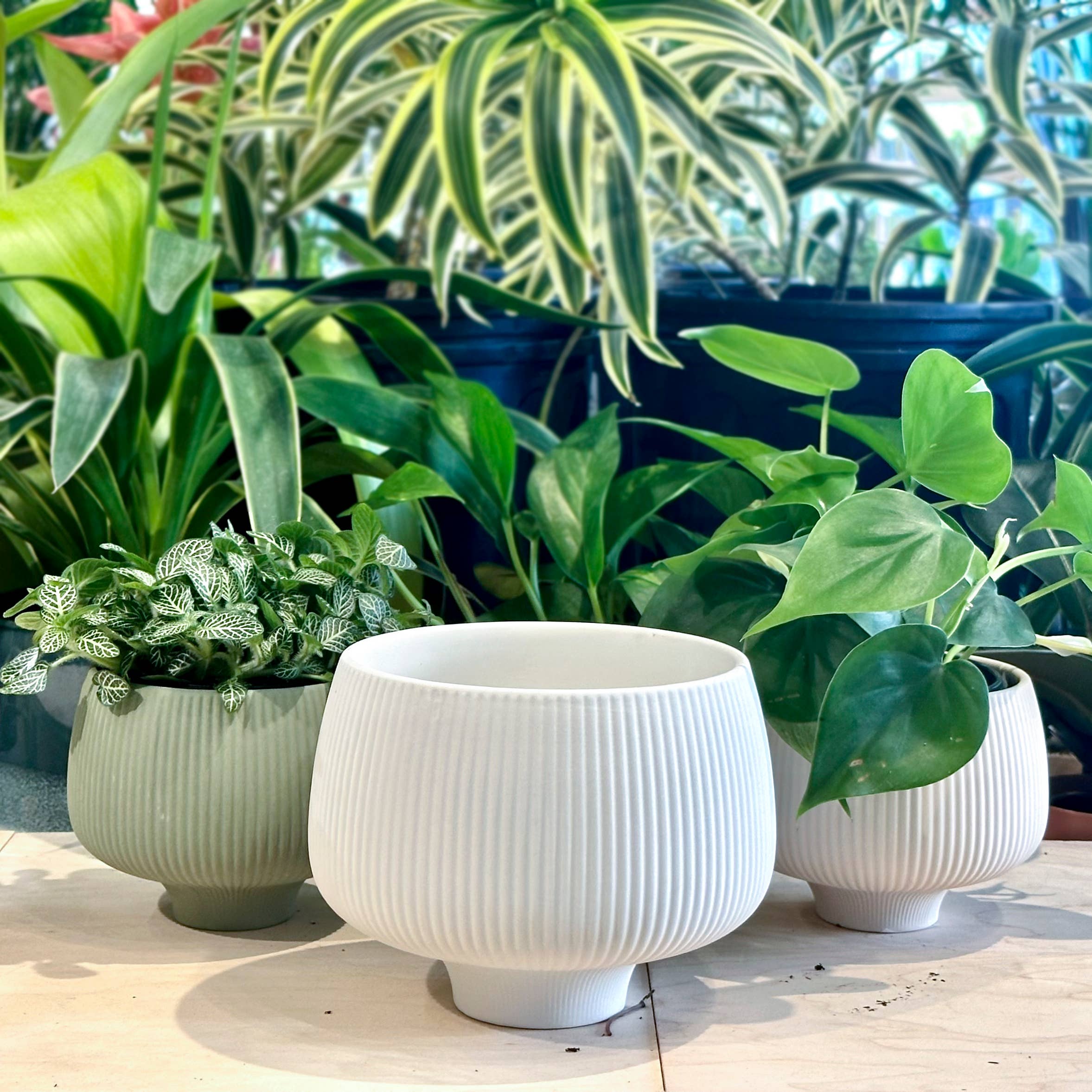 Wholesale Lilo Japanese Succulent Planter Handmade Pots
