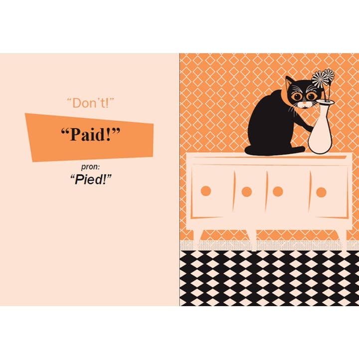 Casemate IPM - Wholesale Book - Adult - Teach Your Cat Welsh