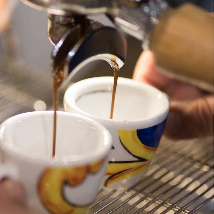 Caffè Morettino - Wholesale Instant Coffee/Espresso - 100 Espresso Quality Capsules compatible with Nespresso*4