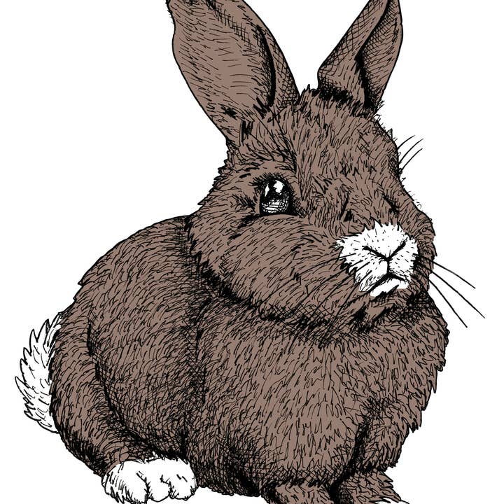 Autocollant Henry the Bunny de Sapphorica Creations pour la vente par Sapphorica Creations