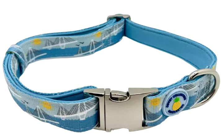 Covey Collection - Wholesale Pet Collar - Dog - Ravenel Bridge Dog Collar2
