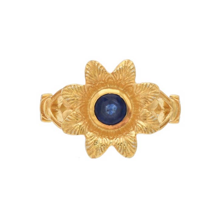 ”Inte en tjänst” Sterling Silver blå safir Vermeil Ring för wholesale av Misteerious Seed