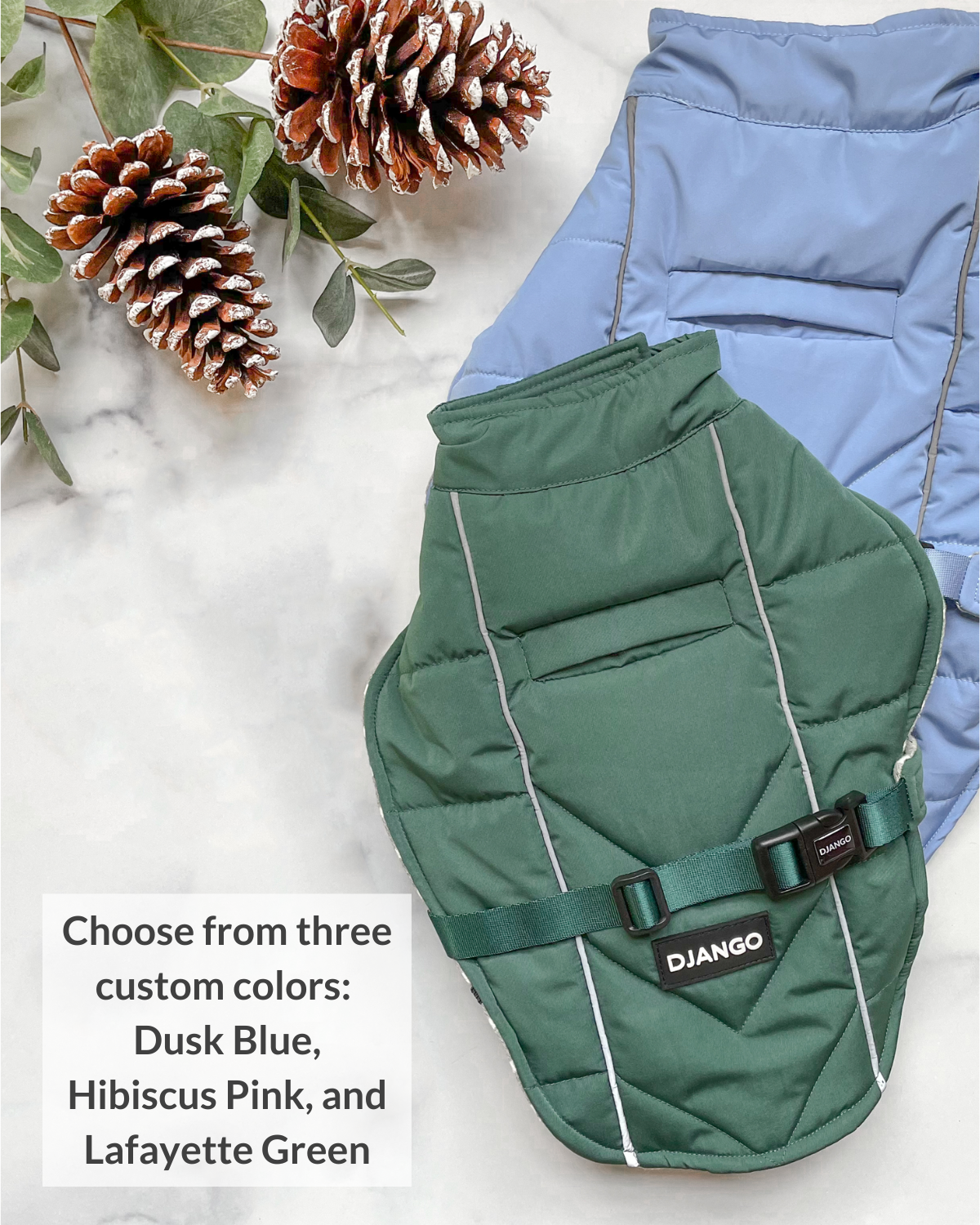 DJANGO - Wholesale Pet Coat - Dog - Whistler Winter Dog Coat - Dusk Blue7