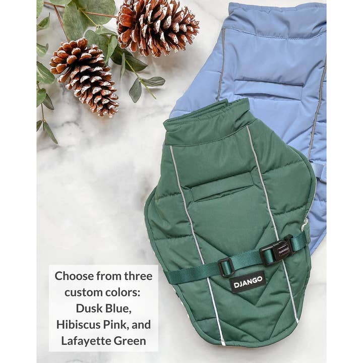 DJANGO - Wholesale Pet coat – Dog - Whistler Winter Dog Coat - Lafayette Green7