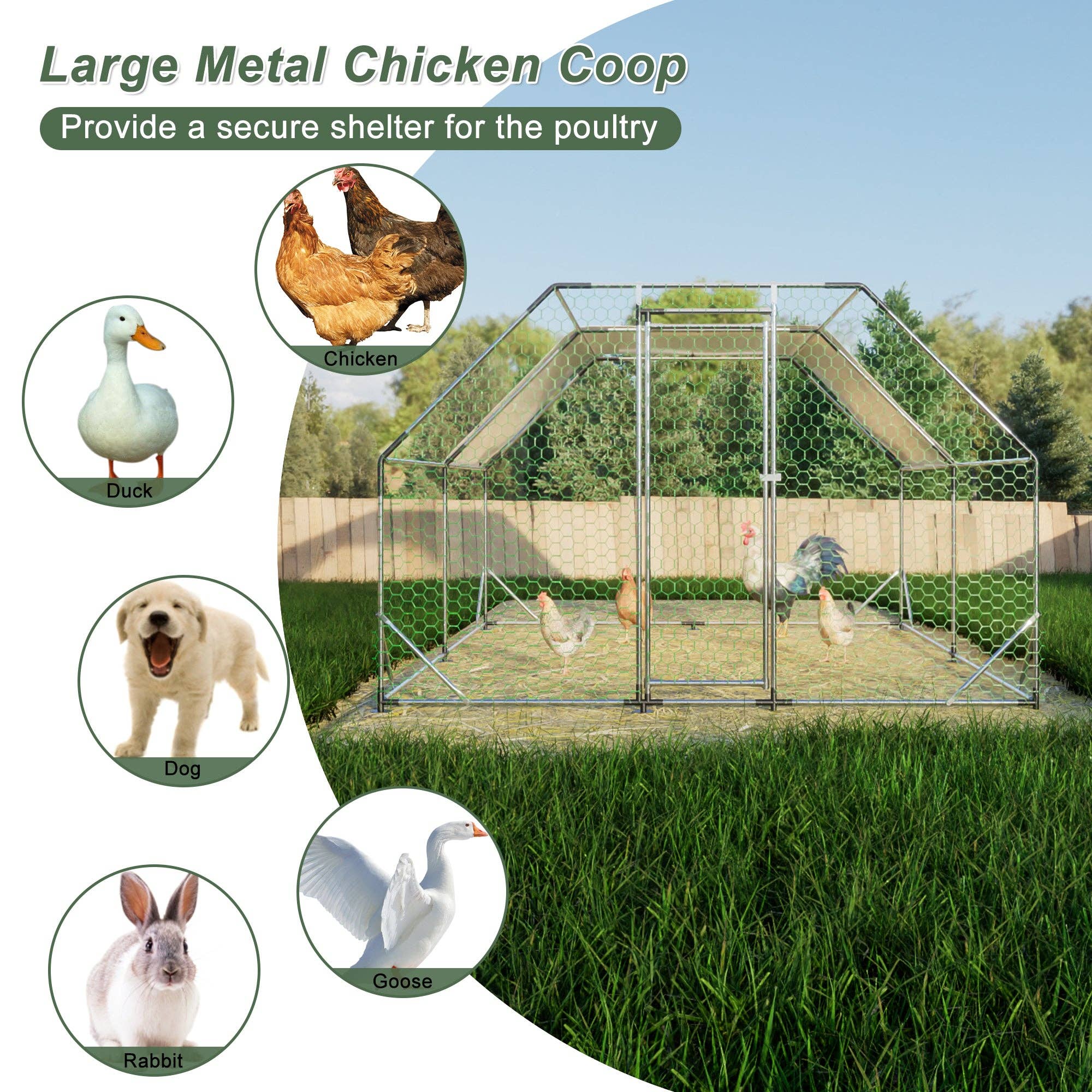 39F Inc. - Wholesale Outdoor Ornament/Decor - 10 ft. x 13 ft. Galvanized Large Metal Walk in Chicken Coop 4