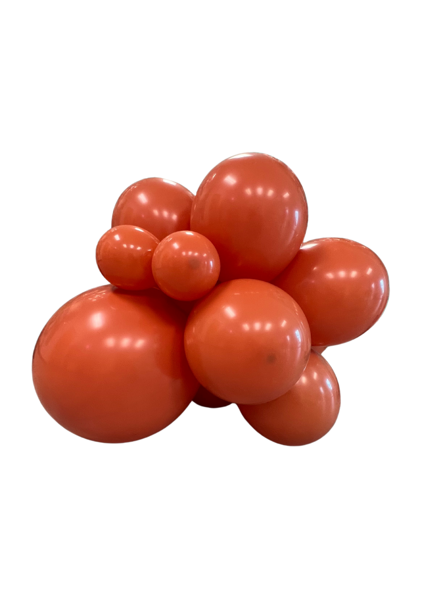 Ellie's Party Supply - Vente Ballon - Grappe de ballons en latex en terre cuite orange brûlé premium4