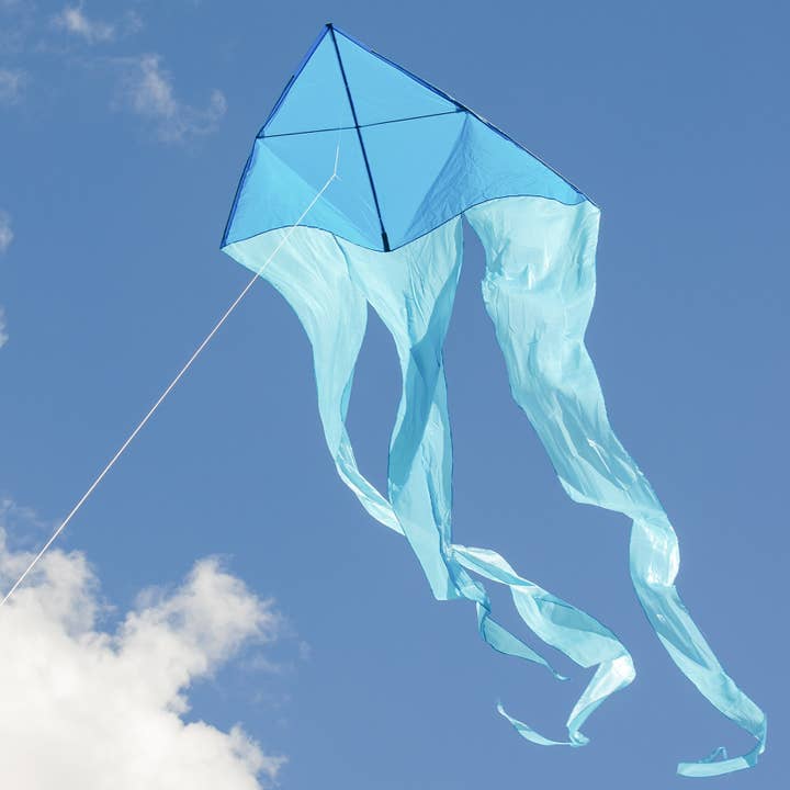 In the Breeze, LLC. - Wholesale Kite - Blue 77" Wave Delta Kite2