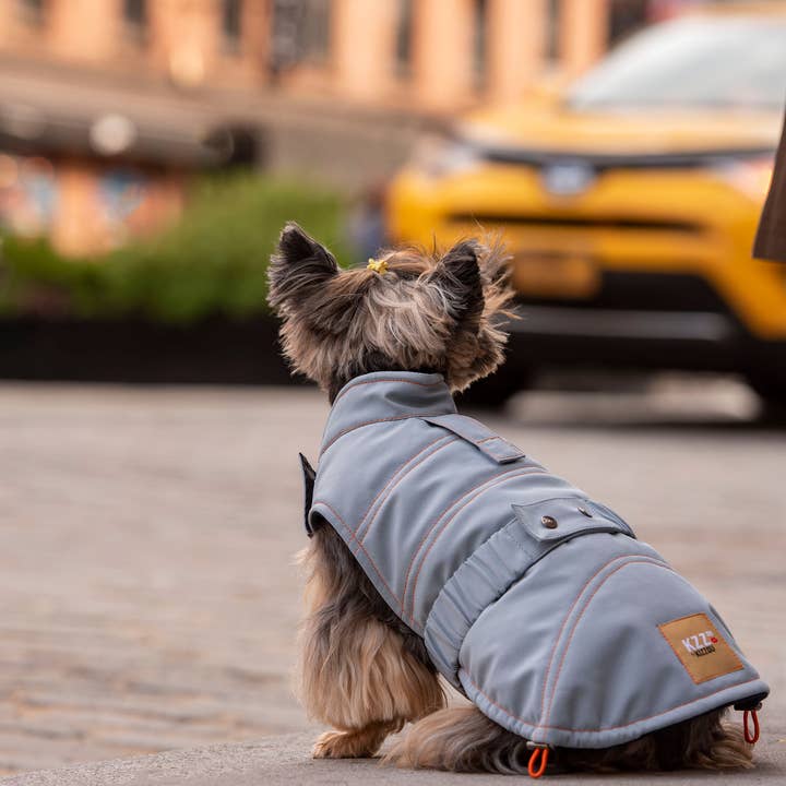 Bruce Winter - Bleu clair pour la vente par Kizzou