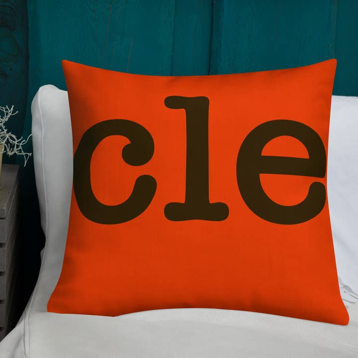 Stadium Prints by BTB – wholesale Throw/decorative pillow – Cleveland Browns Football Stadium & City Pillows3