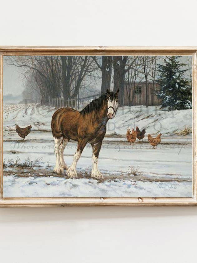 Winter Coats for wholesale by Bonnie Mohr Studio