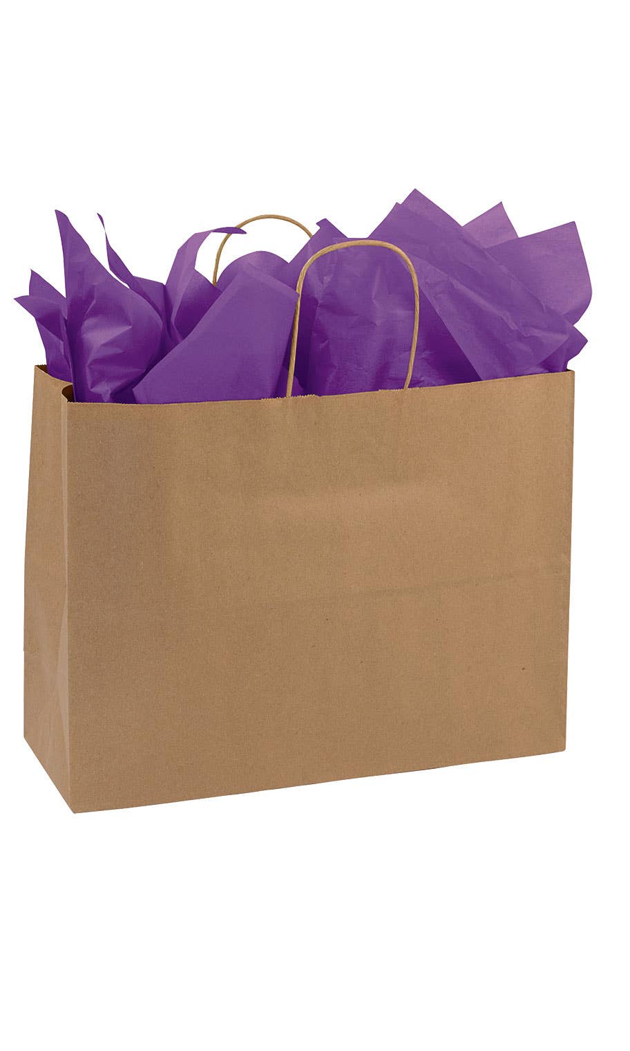 Store Supply Warehouse - Wholesale Gift Bag - Kraft Paper Shopping Bags1