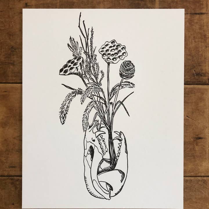 Ratbee Press - Wholesale Art Print - 8" x 10" Possum Skull Print1