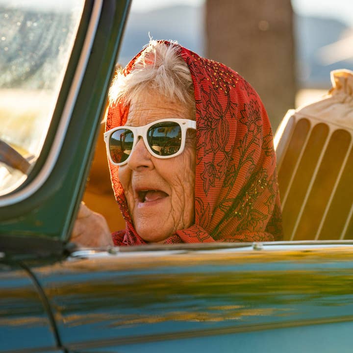 Bought Beautifully - Wholesale Scarf - Women's - Wild Rags15