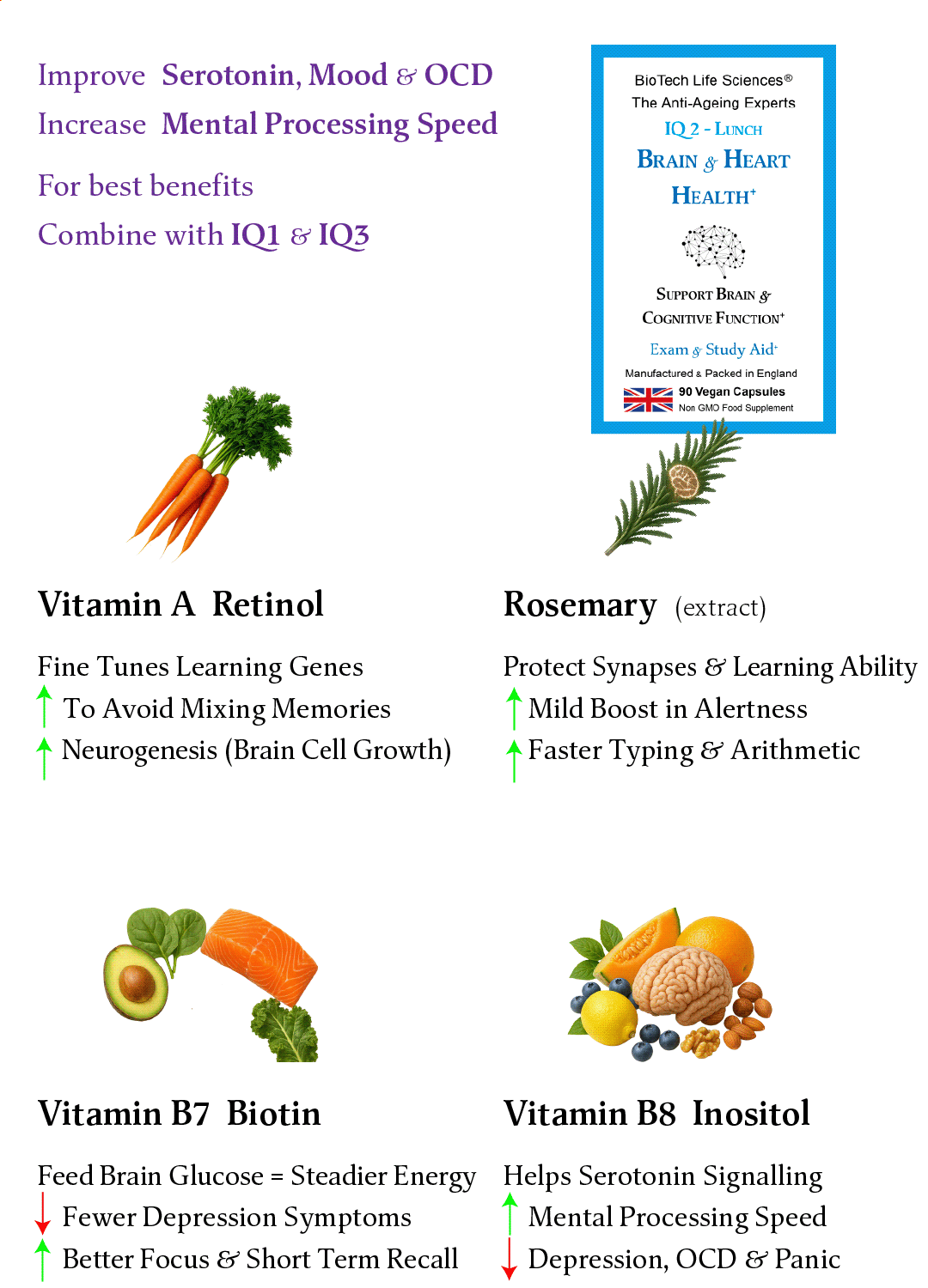 BioTech Life Sciences - Wholesale Oral Supplement/Vitamin - IQ2 NMN - Brain & Heart Health - Grow New Brain Cells3