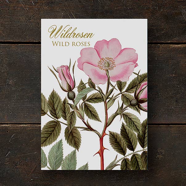 Kartenmappe Wildrosen - 8 Karten mit Umschlägen (deutsch) und andere Ergebnisse für led spots deutscher im Großhandel. Kostenlose Rücksendungen und 60-Tage-Zahlungsziel auf Faire im Trend auf Faire.