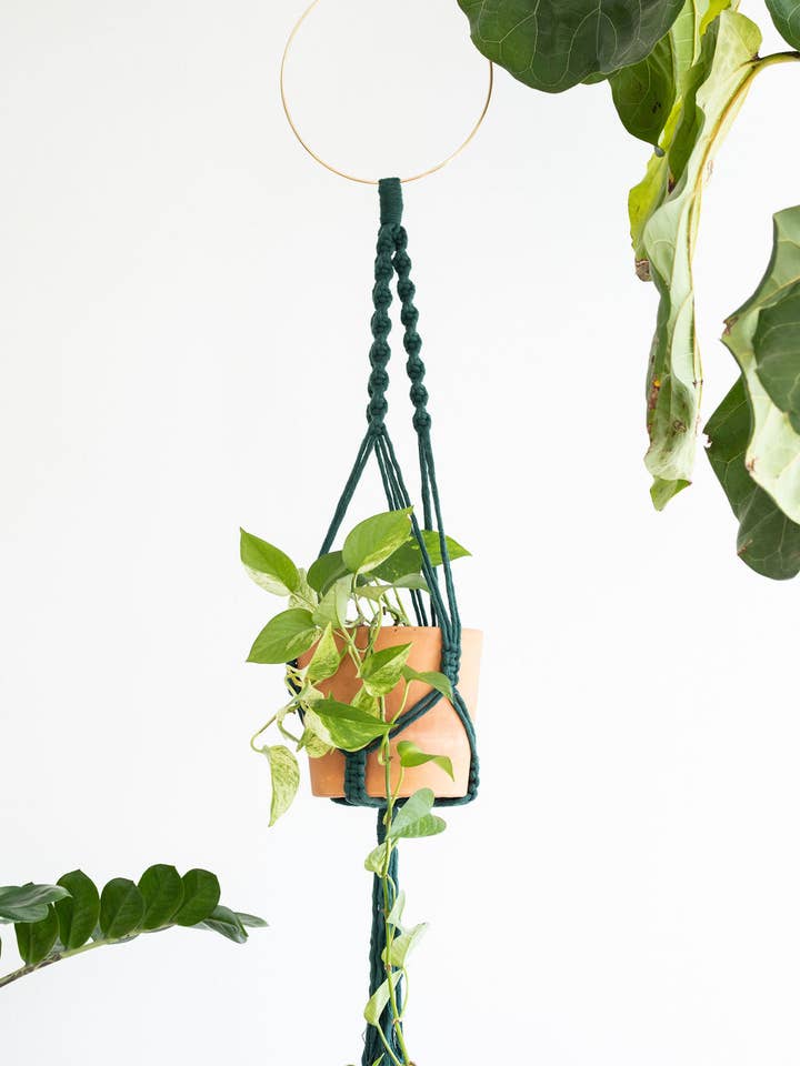 Simple Plant Hanger for wholesale by Knotted Vines
