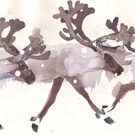 Reindeer Greetings Card for wholesale by Mary Ann Rogers Gallery