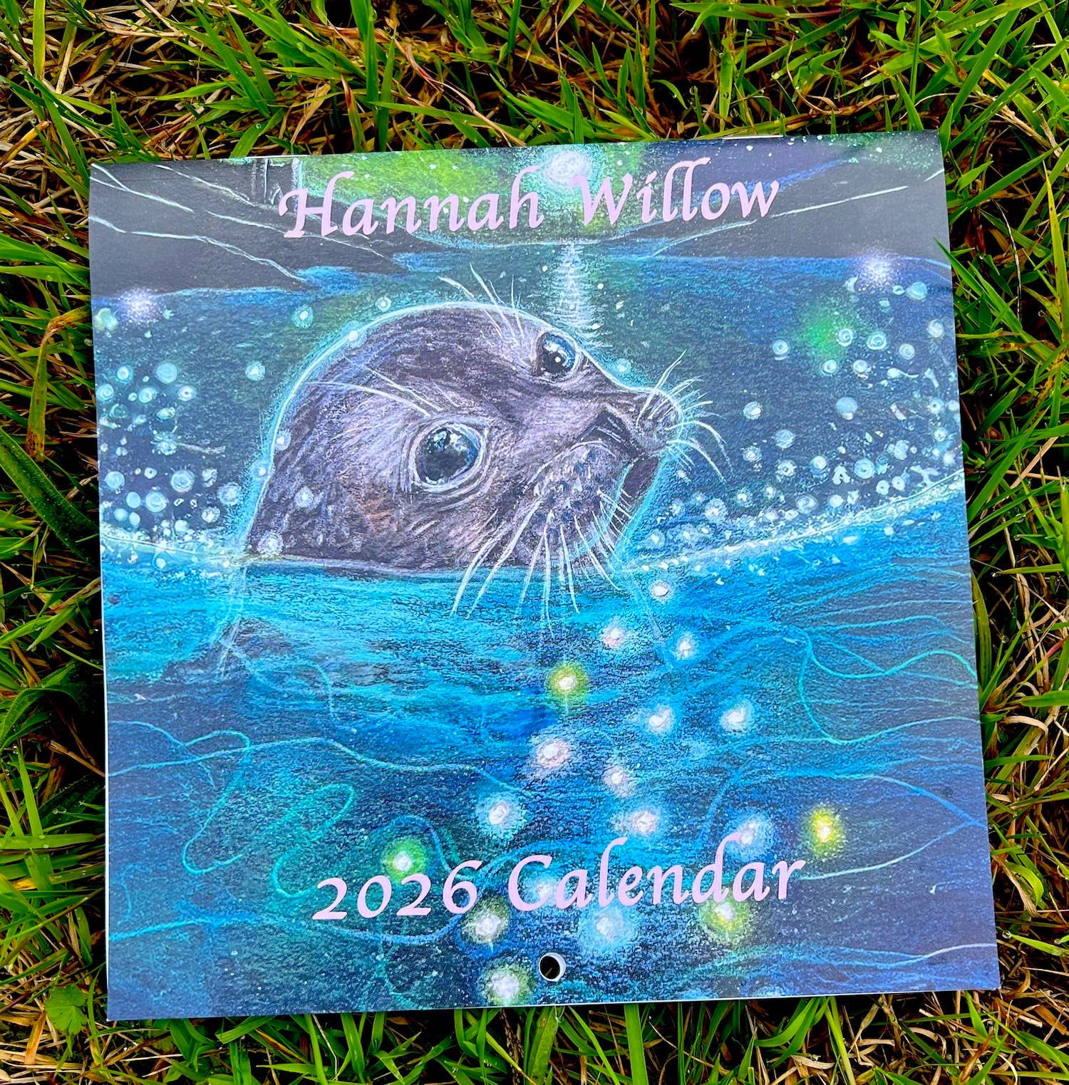 Hannah Willow Art - Wholesale Calendar - Hannah Willow 2026 Calendar4