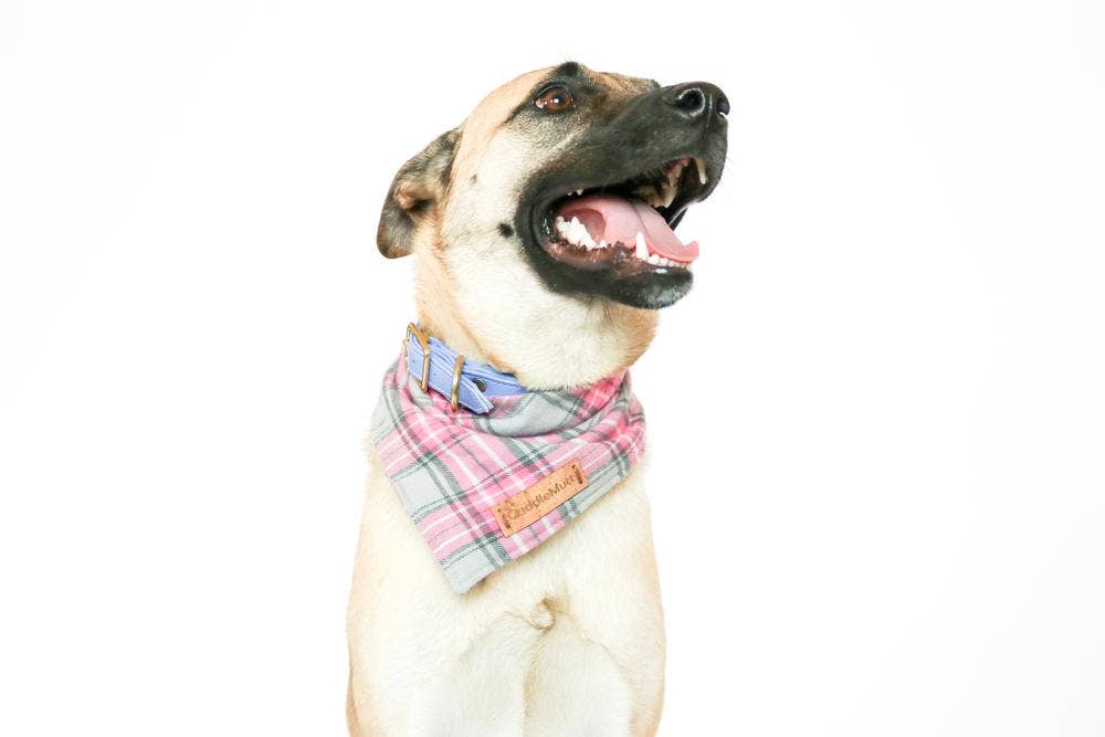 REMOVED BRAND - Wholesale Pet Bandana - Dog - Pink Plaid Dog Bandana2