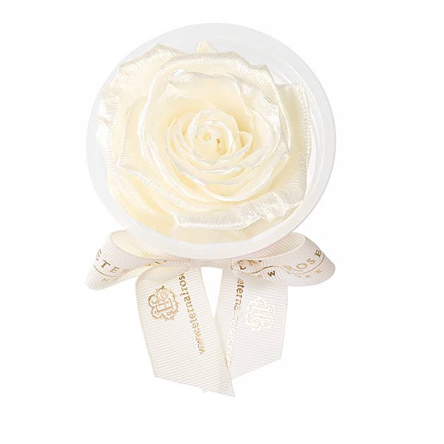 Eternal Roses® - Wholesale Party Favor - Eternal Rose Party Favors8