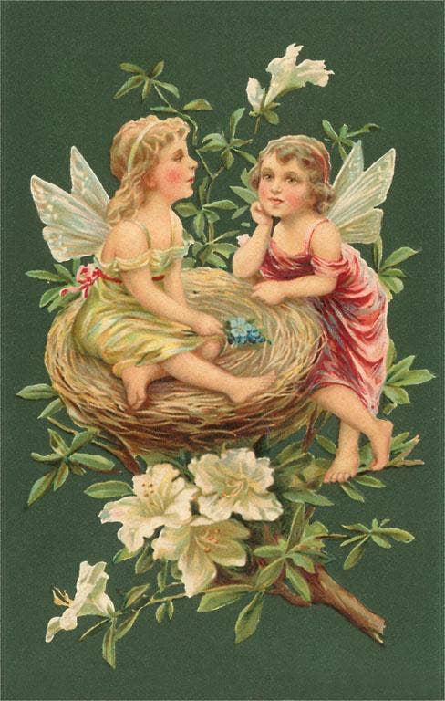 Found Image Press - Vente Cartes postales - Carte postale KF-14 Chérubins dans le nid0