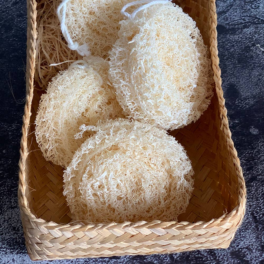 VIE - Wholesale Loofah - Natural Organic Gentle Loofah4