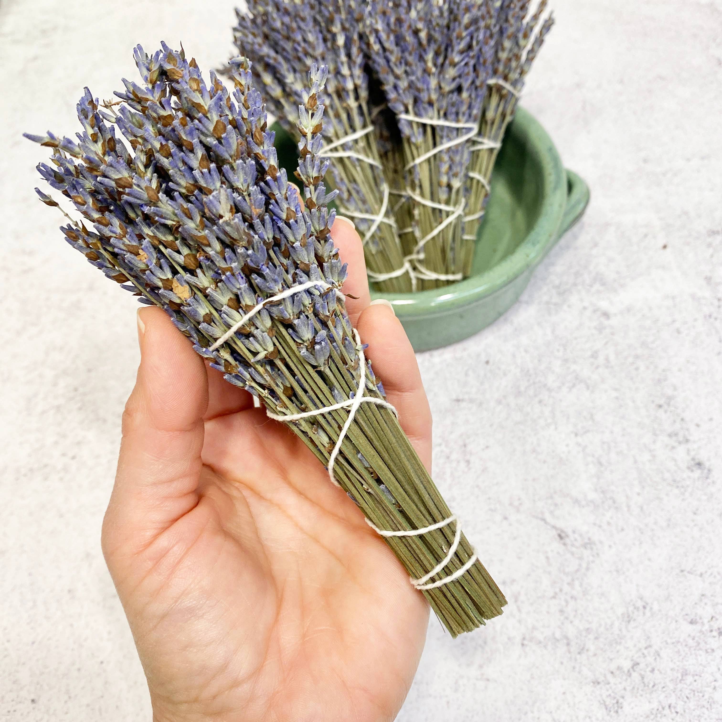 Oakwind Hollow - Venta al por mayor Salvia - Paquete Lavender Smudge4