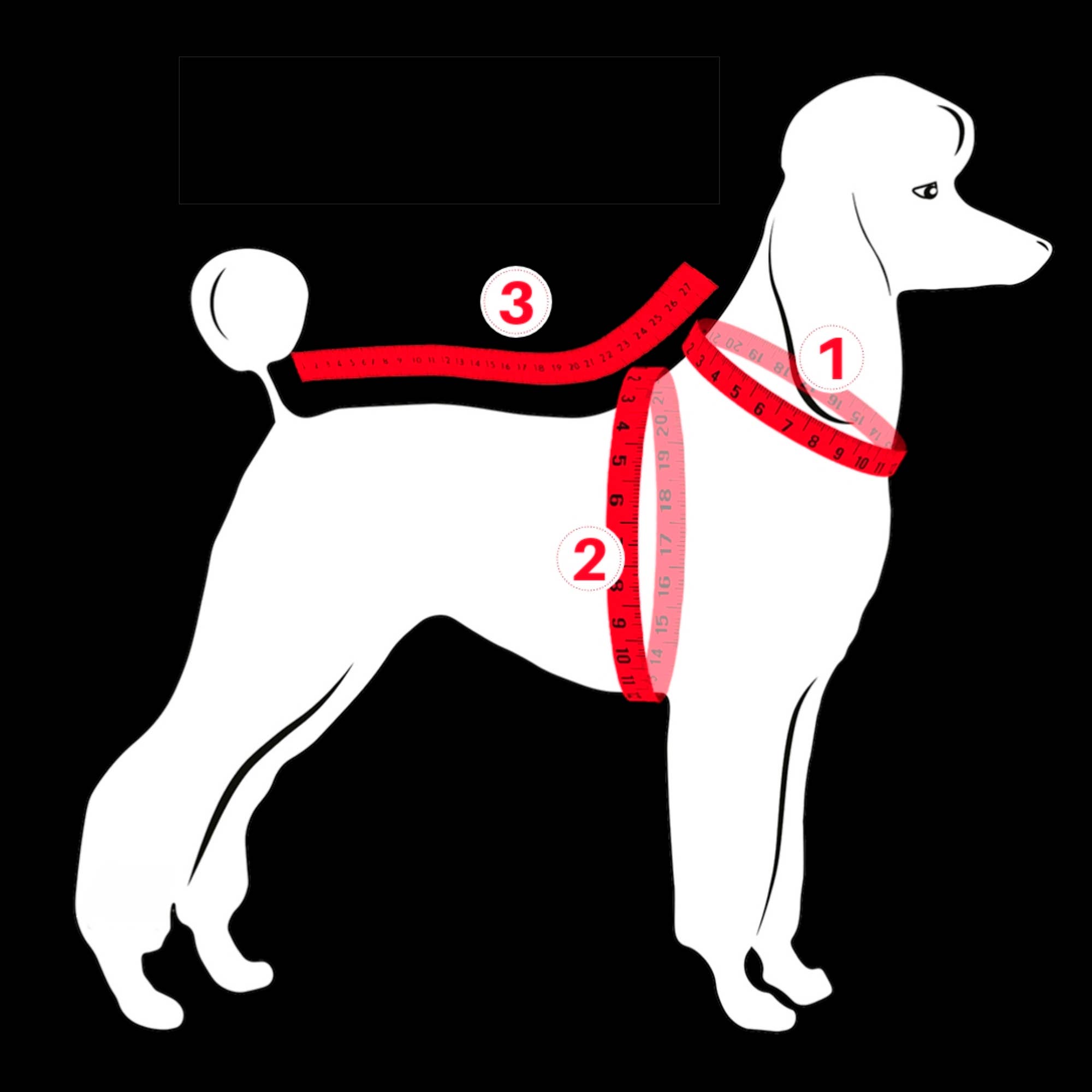 FINNERO - Vente Veste – chien - Veste réfléchissante coupe-vent FINNERO SPORT pour chien, 3 couleurs11