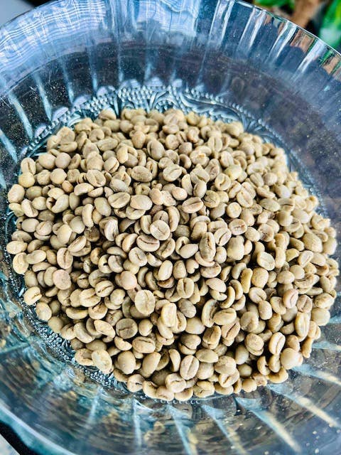 Rising For People Coffee Company - Wholesale Coffee Beans - Costa Rica Green Coffee Beans- Unroasted2