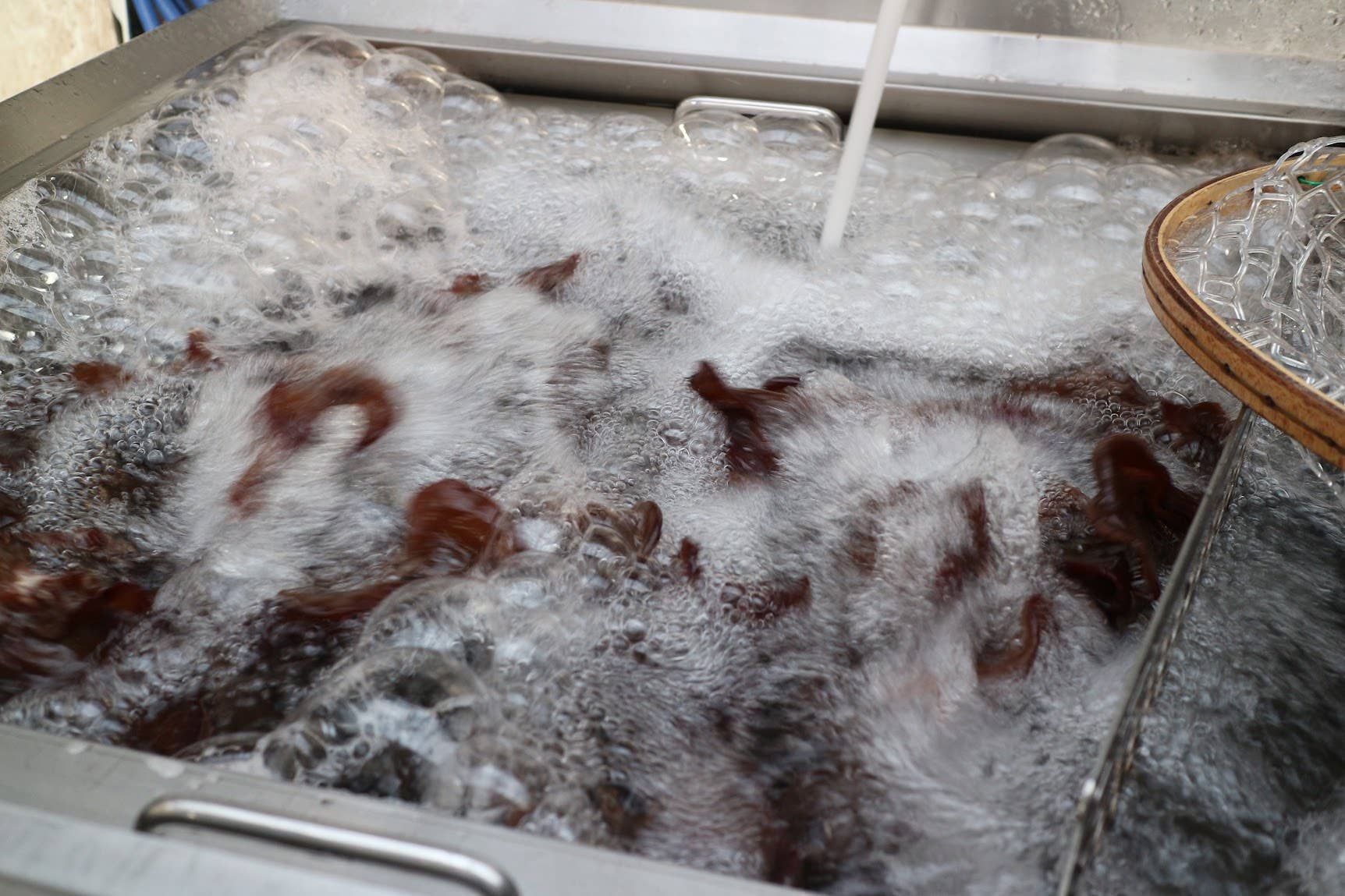 Japan Artisans - Wholesale Dried/dehydrated vegetables - Kasugai-Dried Wood Ear Mushrooms 14g – Organic - Japan11