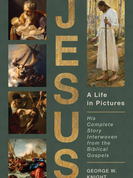 Jesus: A Complete Life Story in Pictures for wholesale by Bradley's Book Clearance