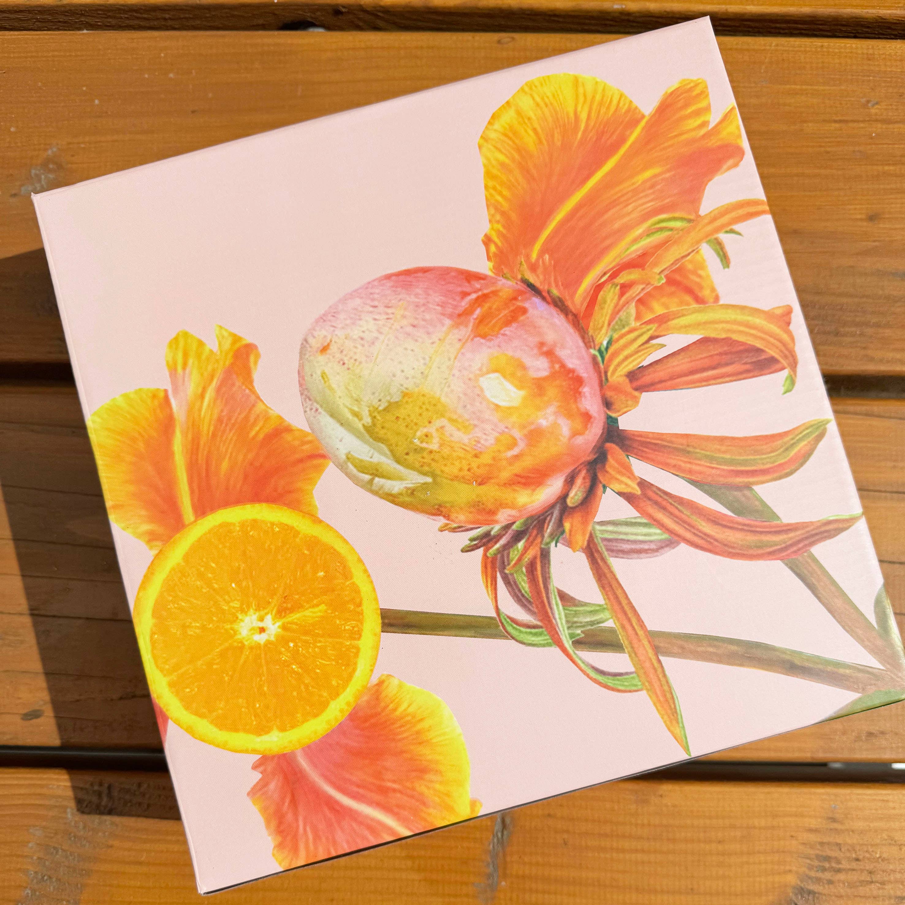 Bordy's - Wholesale Dinner Plate - Botanical Wonders - Set of 4 Breakfast Plates3