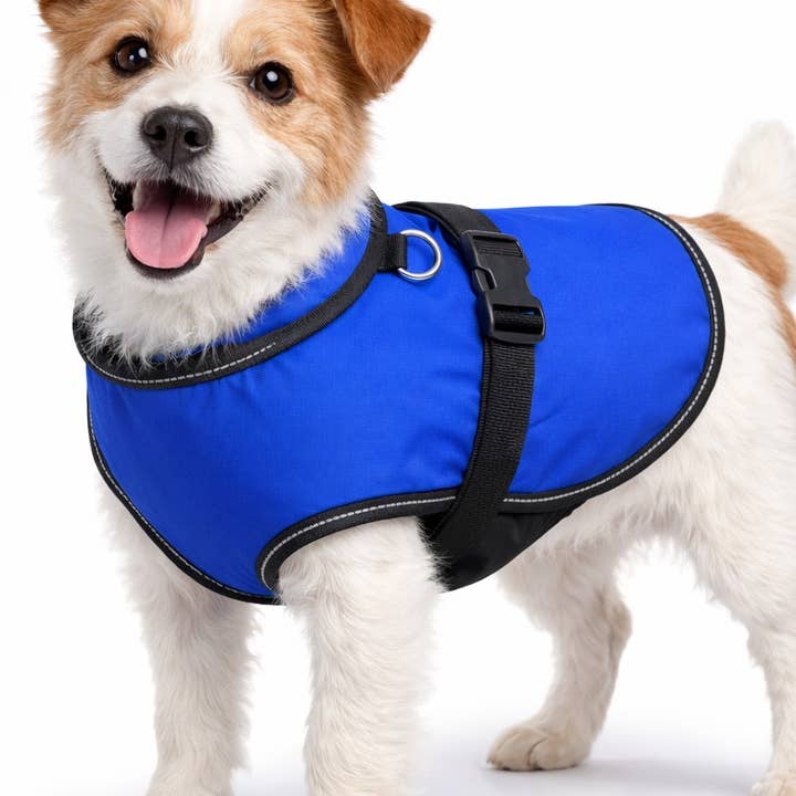 Produtos para animais - Colete de luxo azul para cães pequenos por atacado de NHP International