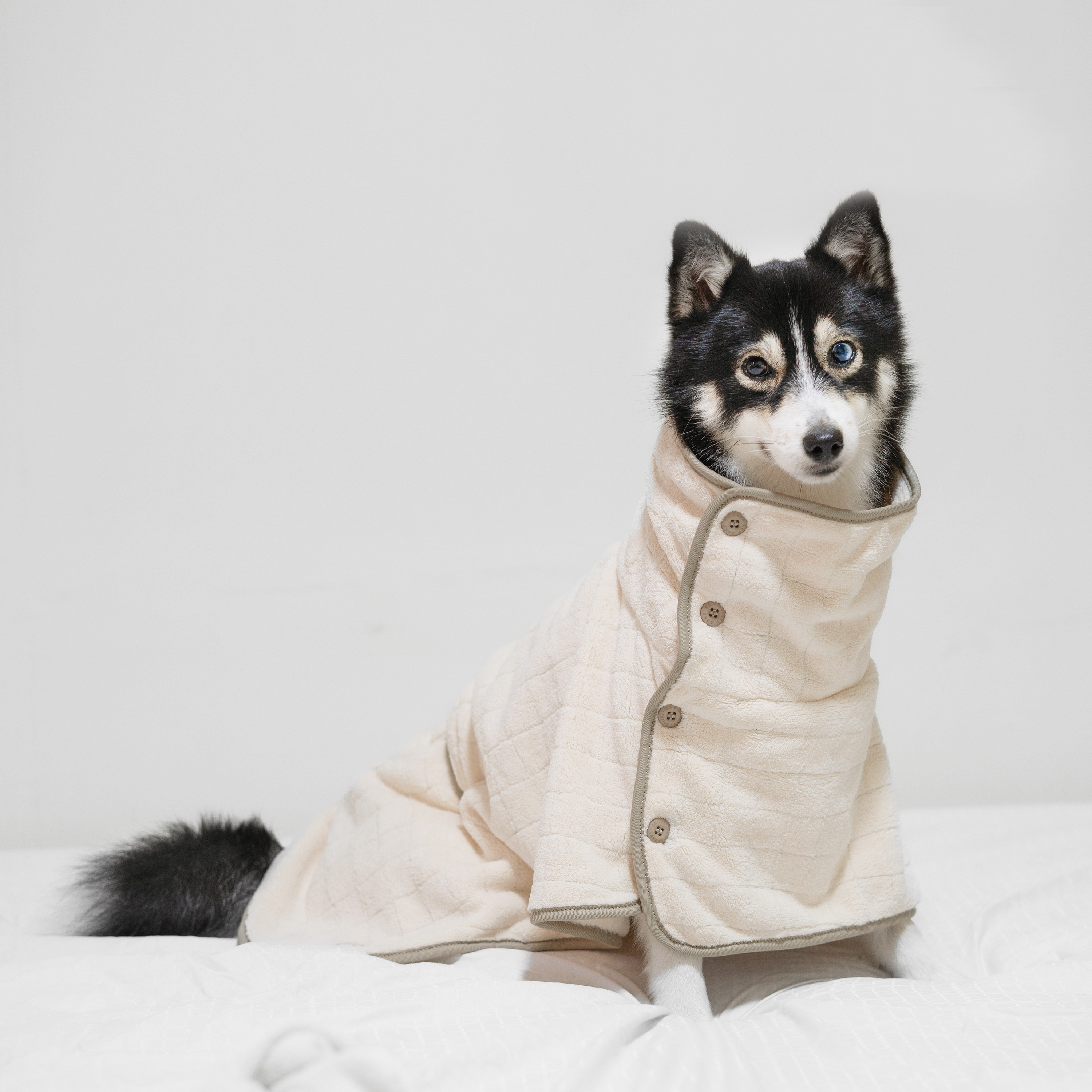 plum Baby Fleece Bathrobe//DOG CLOTHING//APPAREL for wholesale on Faire11