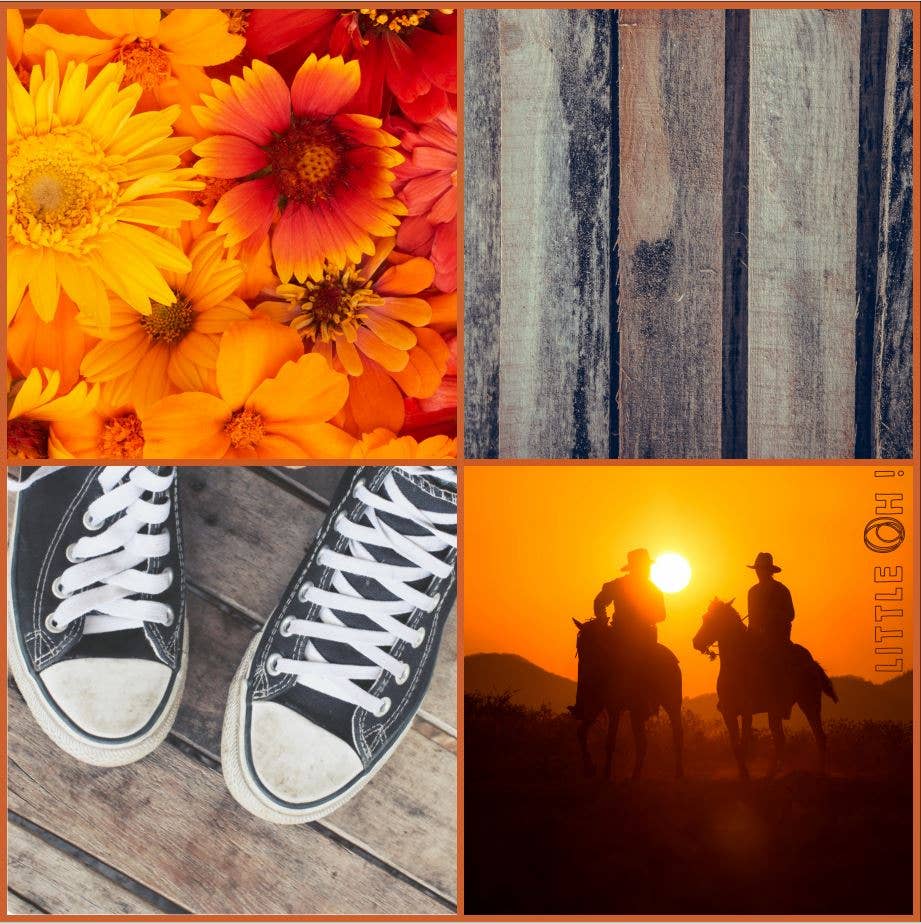 Little Oh! - Wholesale Scarf - Women's - Scarf ref. 56422