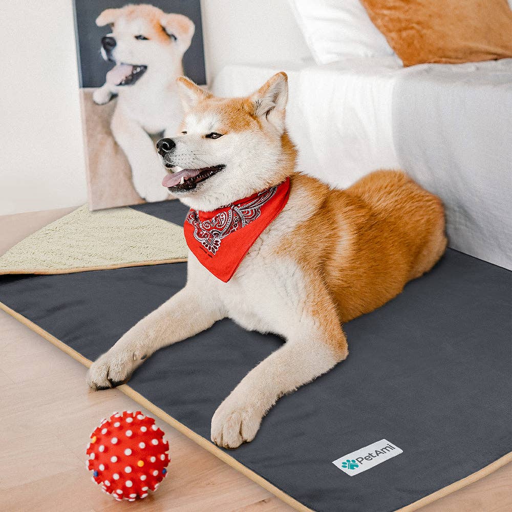 PetAmi - Venta al por mayor Manta - Gatos y perros - Manta impermeable para mascotas Sherpa50