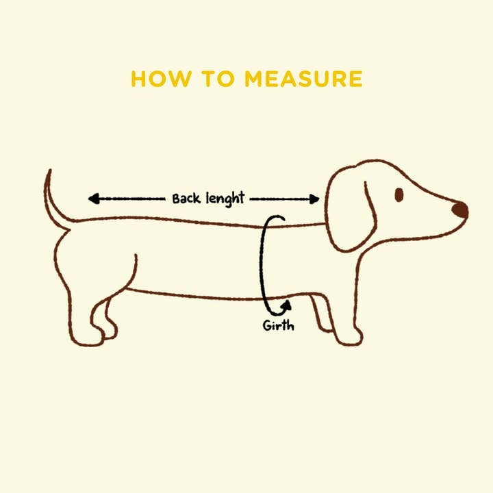 Sunbean - Wholesale Pet Sweater - Dog - Wavy Knitted Dog Sweater11